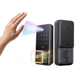 Veno Solar Palm